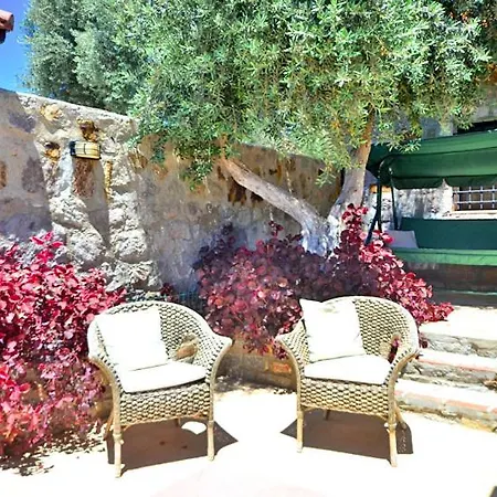 Villa Zeytin فيلة *