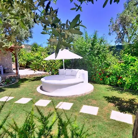 Willa Villa Zeytin *